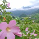 흙의사람들 민박 이미지