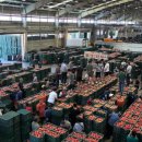 안동유통 이미지