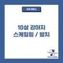 박물관옆동물병원 이미지