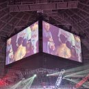 로드FC안산MMA체육관 | 로드FC 경기 직관후기 모음