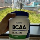 뉴트리코스트 BCAA 파우더 그린애플향 구매 후기
