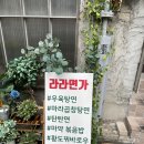 마약 볶음밥 이미지