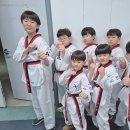 기품있는 태권도장 이미지