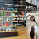 퇴계동 80-1 | 춘천 퇴계동 미용실 추천 샵이엘 긴머리 매직 대만족 후기