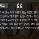 고기와생선 이미지