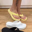 썬플랫폼 이미지