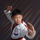 상록키즈태권도 이미지