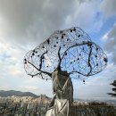 아미초등학교 | 부산 서구 누리바라기 전망대 산복도로 여행코스 가는 방법 솔직 후기