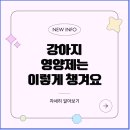 석바위약국 네이버블로그