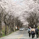 오늘의 포토뉴스 2008.04.12 토요일 이미지