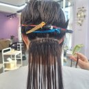 특수헤어엘르리