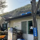 경주 곤달비 캠프 벚꽃 캠핑 기록