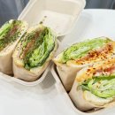 샌디샐리 이미지