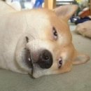 남부상회 이미지