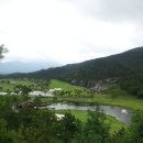 P스크린골프 이미지