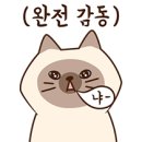 [원주경보기] ☆쌍용자동차 티볼리 이지카 E300 Plus 원격시동경보기, 원주썬팅 유진모터스★