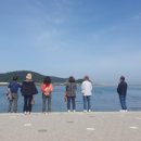 하단동1195 이미지