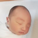 더미즈병원 | 성남 산부인과 더미즈병원 자연분만과 특실 입원 솔직 후기