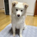 상록마을라이프아파트 이미지