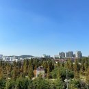 9로평상 이미지