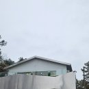 내 돈 내산 이천 &#39;포크테일&#39; 애견 동반 브런치 카페 방문 후기