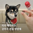 마이펫동물약국 | 강아지 관절 영양제 &#39;뉴트리댕댕 관절&#39; 슬개골 탈구 강아지 영양제