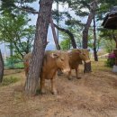 영주한우고기나무 - 영주시 대학로261번길 5 | 영주한우고기나무
