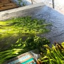 참샘환경 이미지