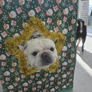 니멍내멍 이미지