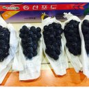 세정농원 이미지