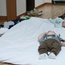 단우 호스텔 네이버블로그