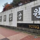 백옥대로1081번길 이미지