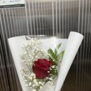 로즈노래주점 이미지