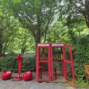 대통령산장 | 가평 계곡 맛집 산장대통령 평상에서 닭볶음탕 먹고 계곡 물놀이까지