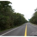 거린사슴전망대 이미지