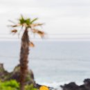 코지목장 이미지