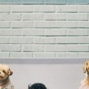 카페멍스 이미지