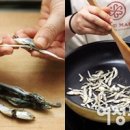 국민멸치
