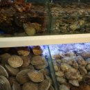 금호스포츠센터 이미지