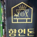 향연돈