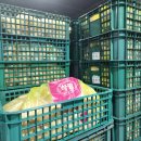 하림닭유통 이미지