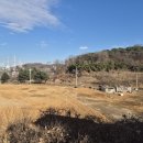 예네공인중개사사무소 | [용인 행정사] 가설건축물 축조신고 위반과 구청별 기준 상이 문제, 해결법은?