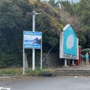 겨울 제주 3박4일 모녀여행 3일차 이번엔 바람과의 싸움!(한라수목원, 용두암, 동문시장, 함덕해수욕장)