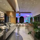 스테이트타워 남산 | 스테이트타워남산 스타벅스 별다방점｜리저브 크리스마스 2025 솔직 후기