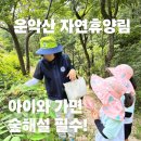 춤추는도마 | [포천] 운악산 자연휴양림 연립동 백리향 후기ㅣ아이와 숲해설+목공예체험 강력 추천
