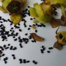 새벽숲농장 이미지