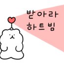 하이룩스 이미지