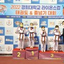 라이온스태권도 이미지