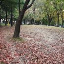 반달어린이도서관 이미지