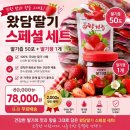 왔담딸기